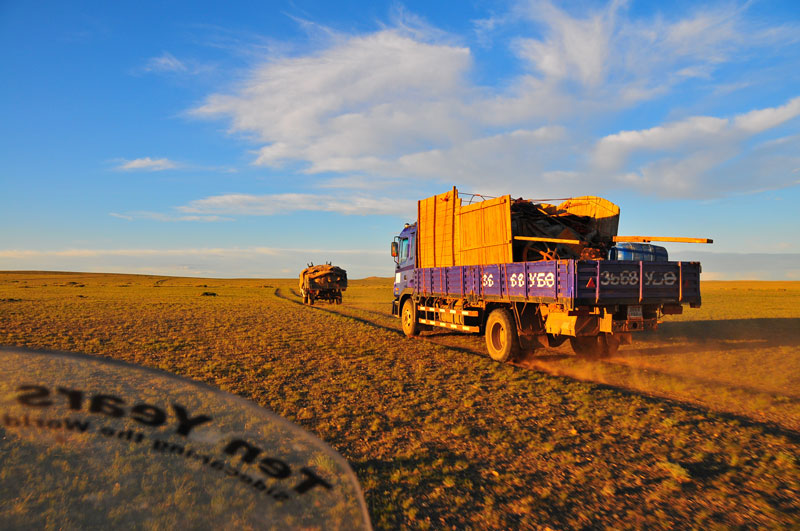 Mongolie